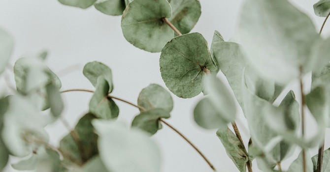 Cognitive Behavioral Therapy (CBT)